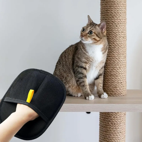 Electrostatic Pet Grooming Gloves