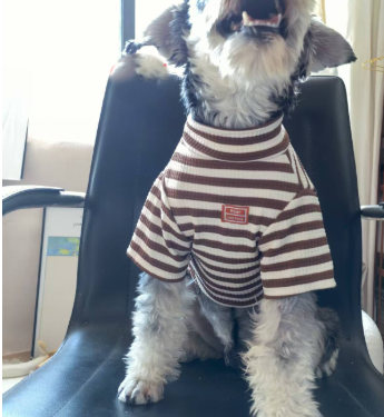 Summer Breeze Doggy Wear