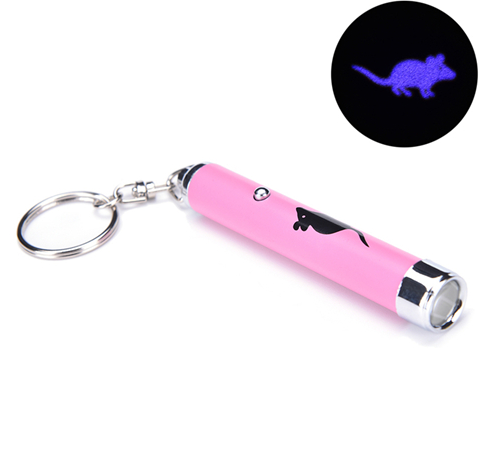 Feline Fun Projector Toy
